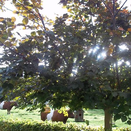 B&B Slaoperij Orvelte Bagian luar foto