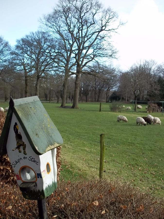B&B Slaoperij Orvelte Bagian luar foto