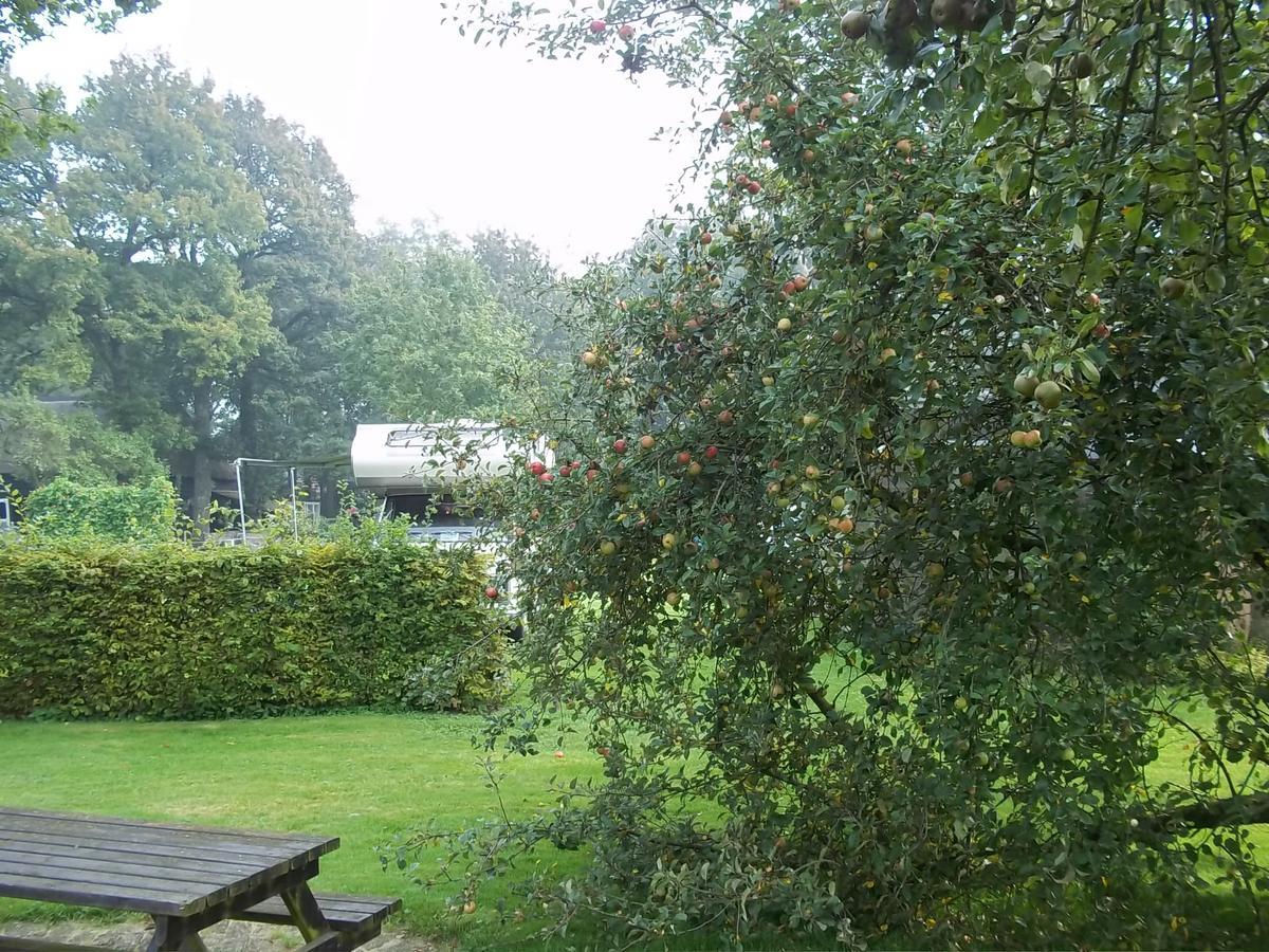B&B Slaoperij Orvelte Bagian luar foto