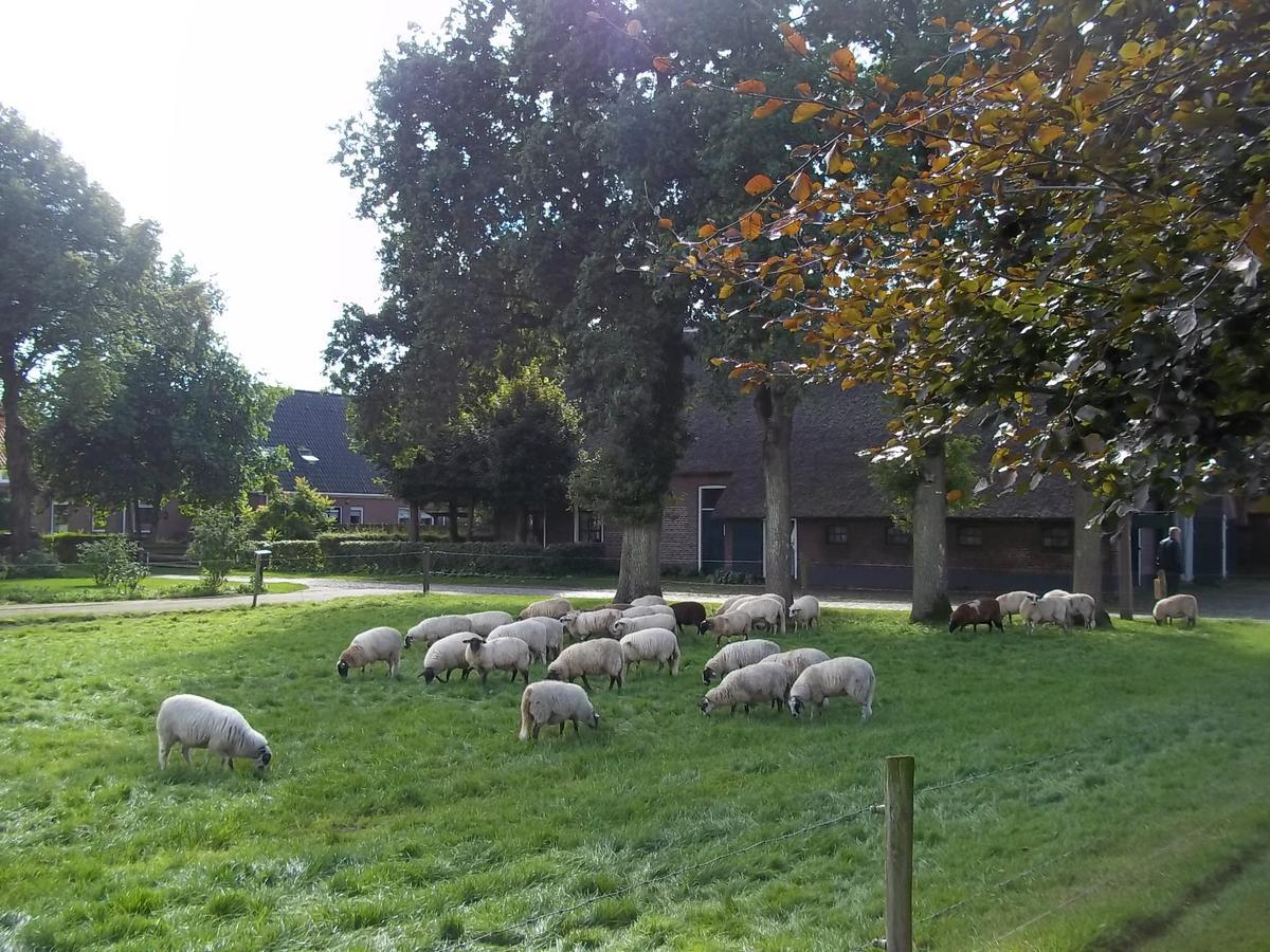 B&B Slaoperij Orvelte Bagian luar foto