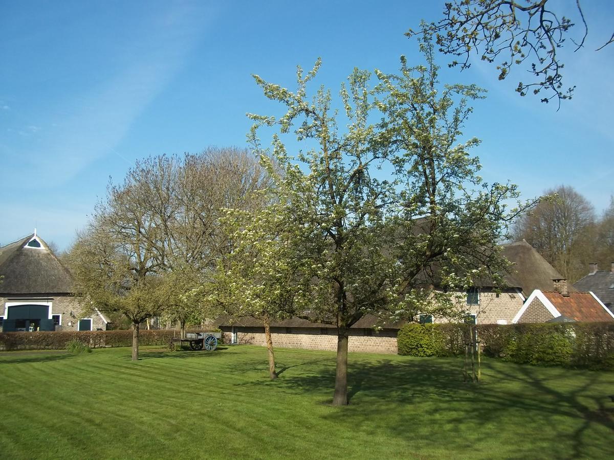 B&B Slaoperij Orvelte Bagian luar foto